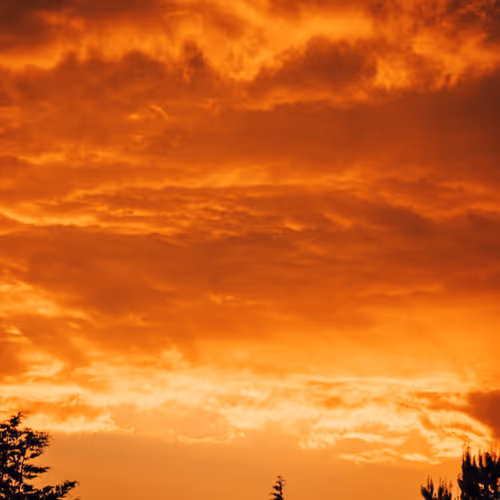 TWILIGHT
