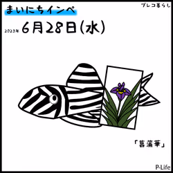 81664083123670143983968740139941474364733981378414170565535212156851274645505