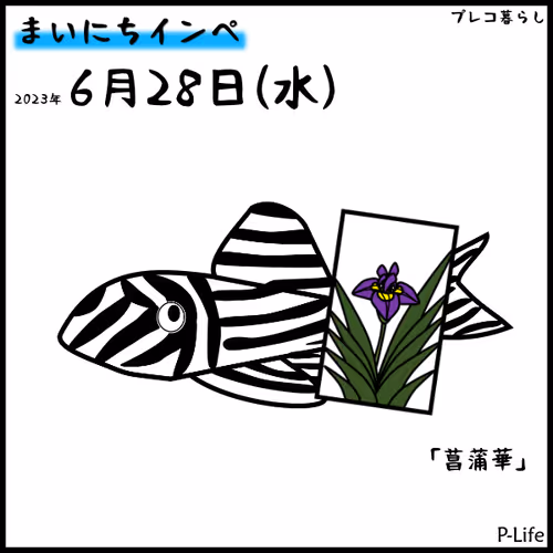 Item #81664083123670143983968740139941474364733981378414170565535212156851274645505 Media