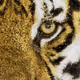 Art of Tiger's