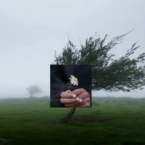 Item #68184226034363132563241512431085175518837350188369992222050409399533806026753 Media