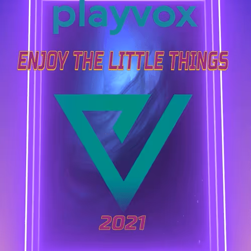 Playvox-Values