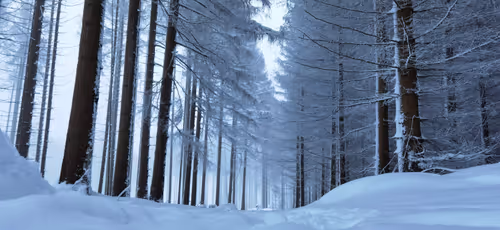 Item #39044306761895989489262238259534332683686809885641995164742116504953411338241 Media