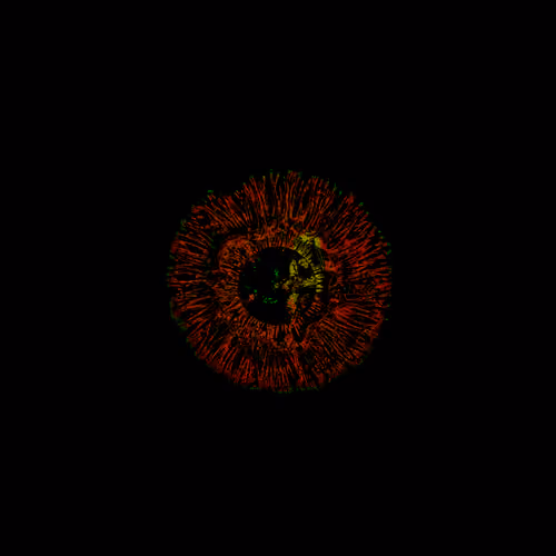 Eye #12