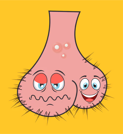 Item #22793047471806318065020766672709763262679883798276267629942526228599433854977 Media