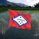 66014886227560344638299723756269507276387272419138927399704737814117546459137
