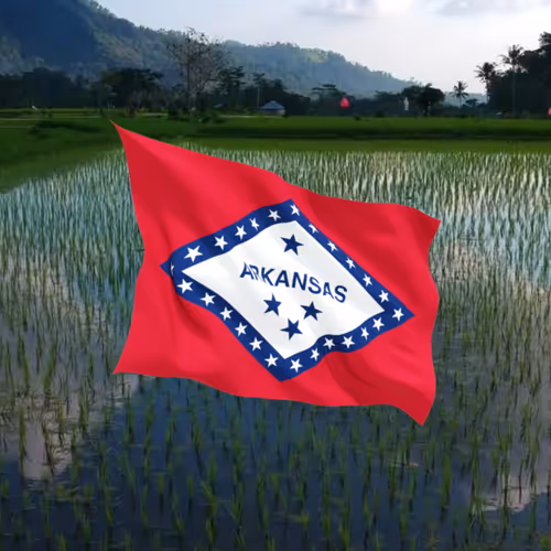 Item #66014886227560344638299723756269507276387272419138927399704737814117546459137 Media