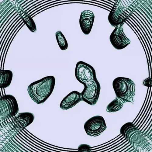 Item #99152019331641229788904140219333937428079268105691841862699864875476809940993 Media