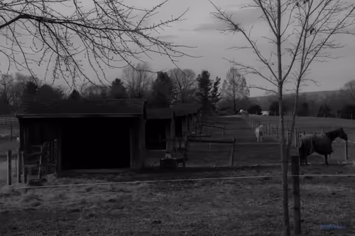 Item #53066580447893182690859255571300366451776015640198026771655436624818138513409 Media