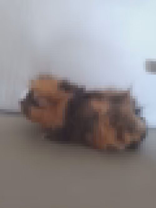 Item #985862019696196531975289967624623321503773359742228644822309236077219545138 Media