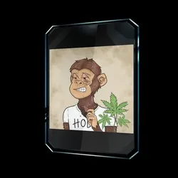 Stoned Bored Ape #3