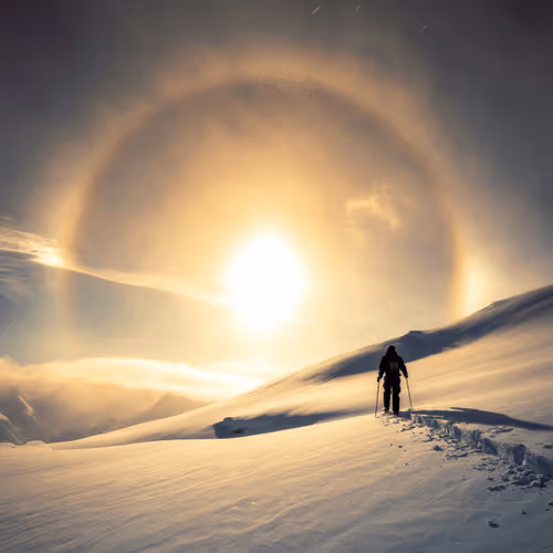 Vincent Schnabl Editions