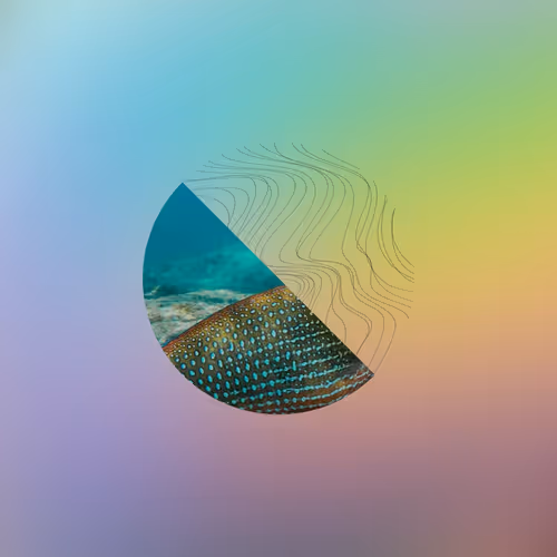 Item #10358932725892737224696233671439170009939406738885577605291127224126186455041 Media