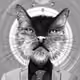 86671419192611845606317507173420141277697144793837822369546528373788867821569