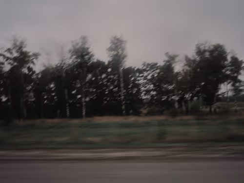 Item #57361419379542393174205584506151689654223604051561977823255905649443955802122 Media