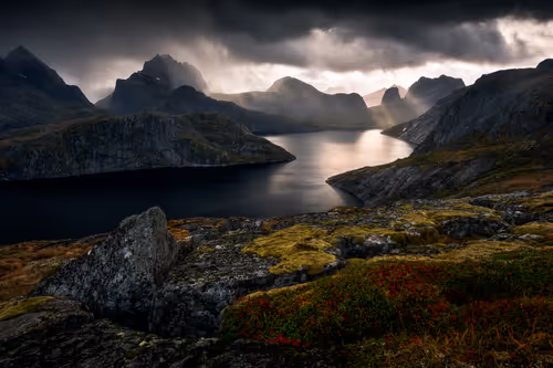 Item #70181392208351444828797858341320009028423104343210808831901440023522571190273 Media