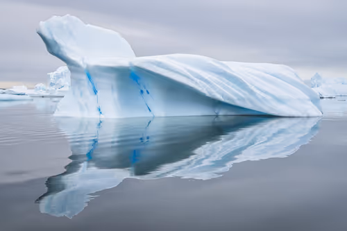 Item #41168216075356421475418355440995855194174491926388925330776099974244760289281 Media