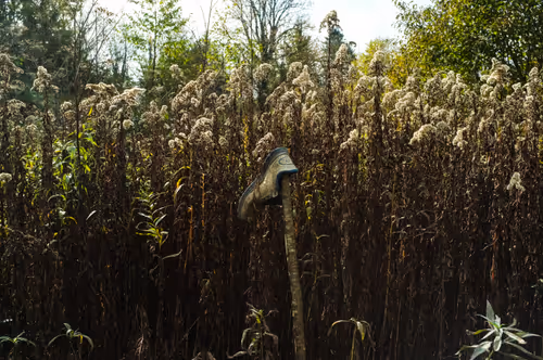 Item #88837150709499798352031986971363165703044907958800399059978422583085412384769 Media