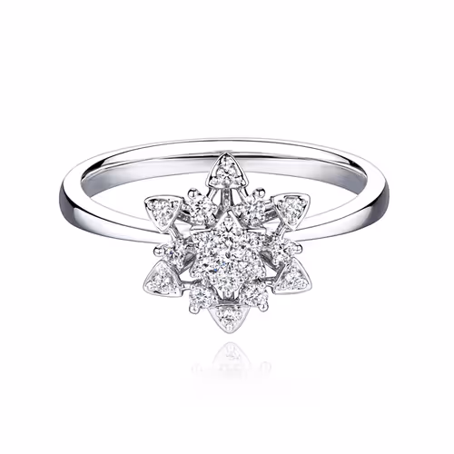 Item #93088245888504972072679845095366683579178927502977403491091744088911303933953 Media