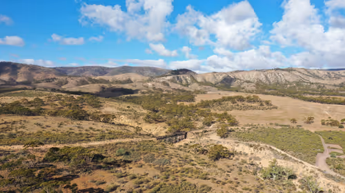 Item #41521939392944084195569198824615756891369886750254292585454782164320057819137 Media