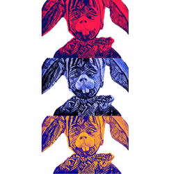 primaries2