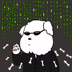Matrix 4