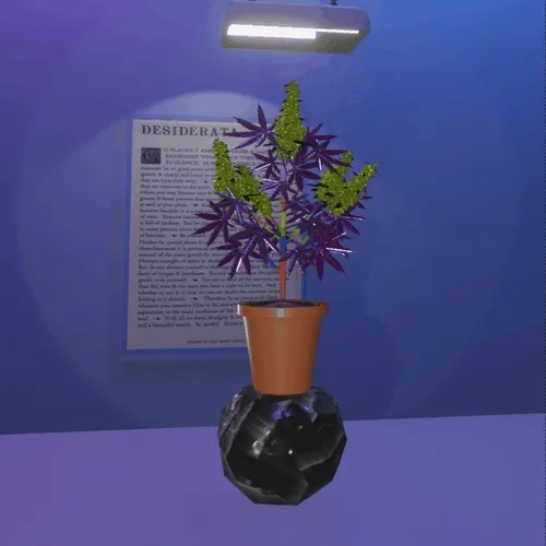 NFTokin #8044 Etherium  variant