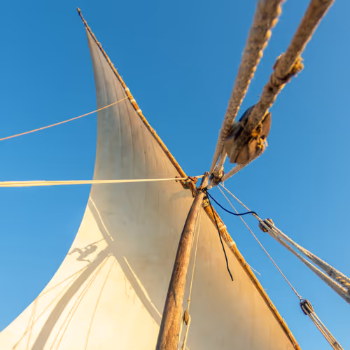 ManjahiStreet Collection