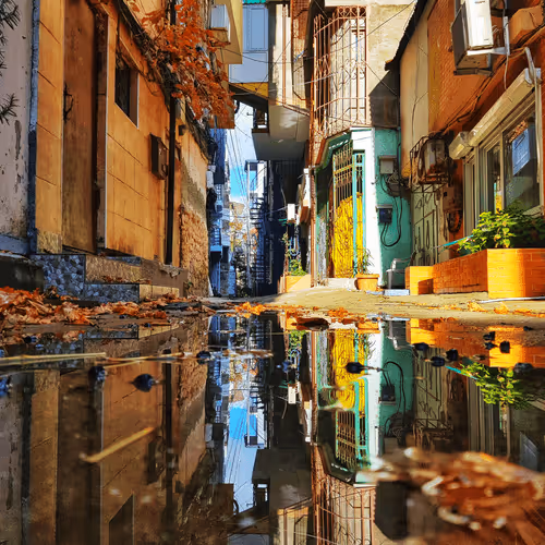 Photo for collection.