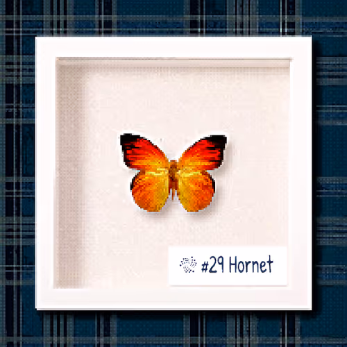 Item #2789607291071995738164880481125140258345785270878309300203345366123609587713 Media