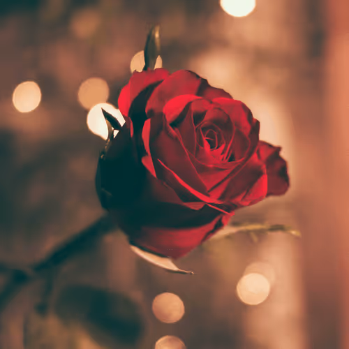 Item #48115764300757799182921484416427732925971967618823184531976727483720912601089 Media