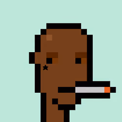 Afro Punk #503