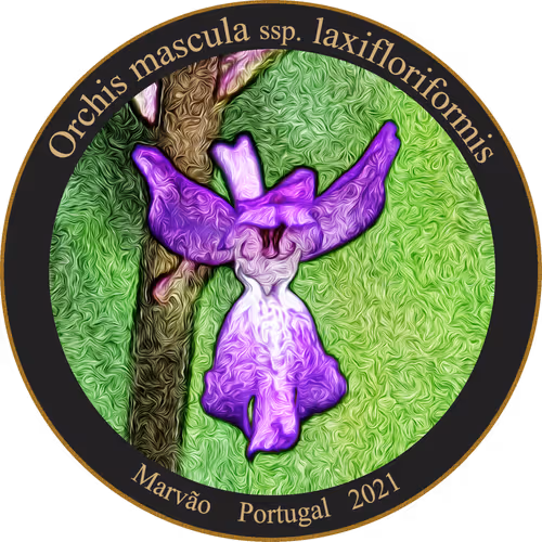 Item #83346383481971607988729477170446348570292642791419063456680174150601878274049 Media