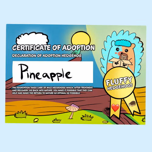 Fluffy Adoptions