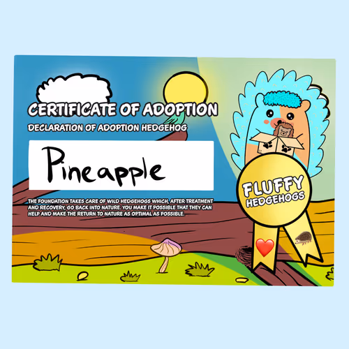 Item #82568299303928421953913761626182899451350454358972335949111842624686360887297 Media