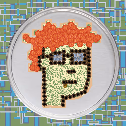 9904244983598080377191155889608568085309669228327026261475657542496730218497