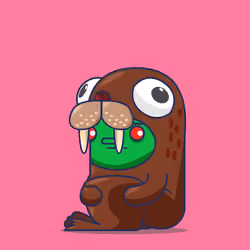 Walrus
