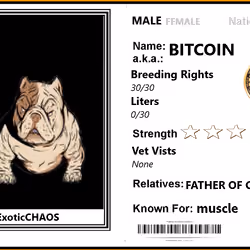 BITCOIN