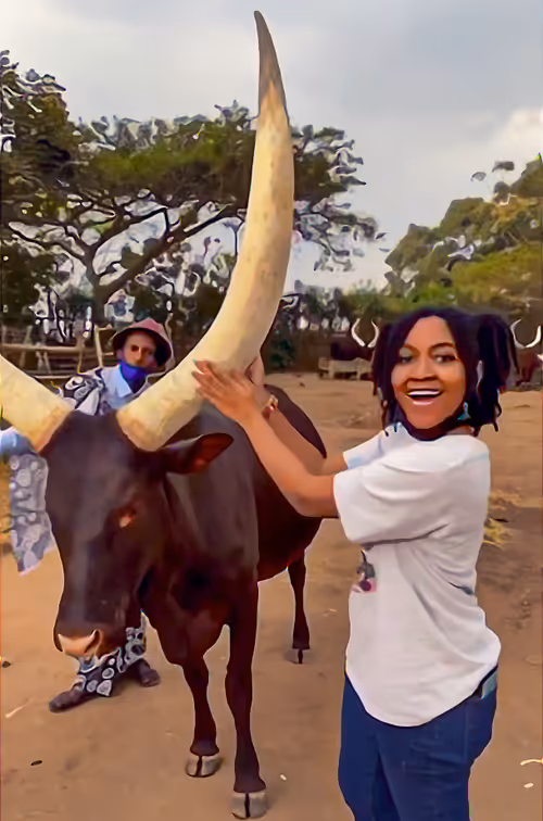 Item #13936801772444017857579023928641823548930958109218026171216700676935532937217 Media