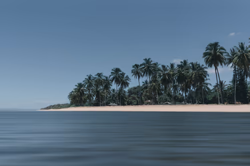 Item #78064220502355505726869985793984720926867023015257308531581829193386831118337 Media