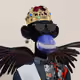 114198744591333220067989241633776585709878139007042029156606942718001365909505
