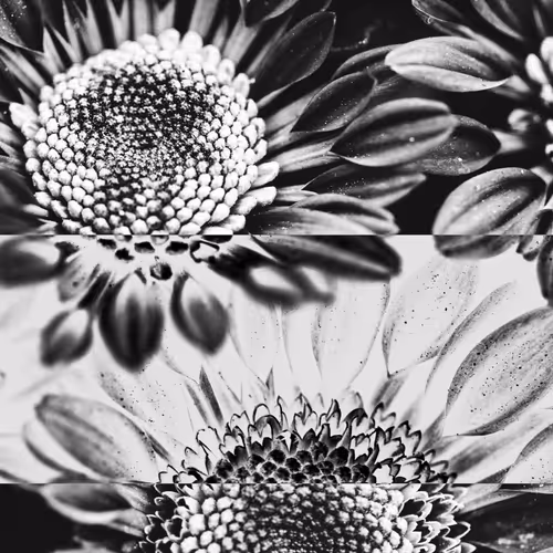 Item #16242110343075384695976872511431893746584995890381912354078390075603367755777 Media