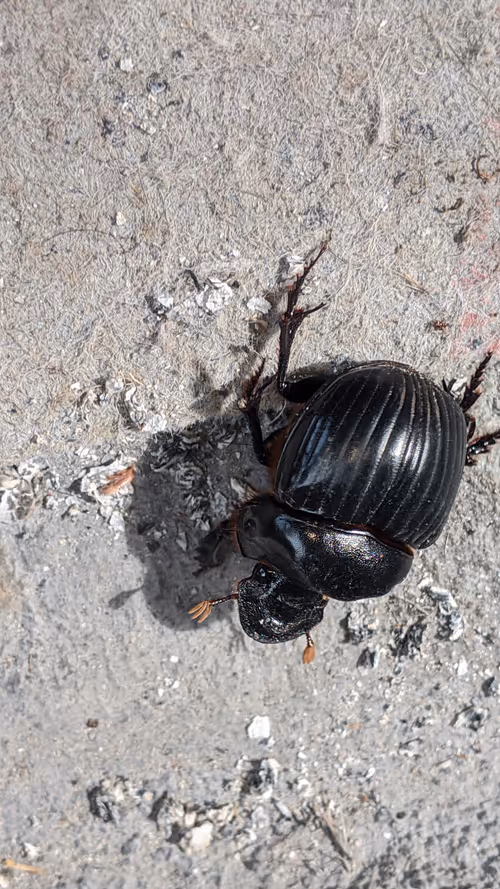 Item #47518194273065051299756248603371626593986050369570479212048397539961844269057 Media