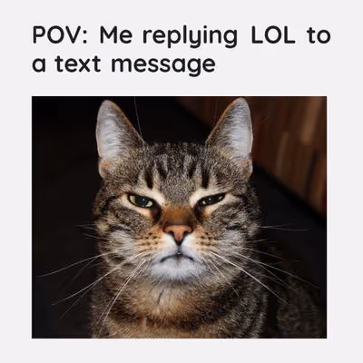 Item #19897855705687673320977355281759280276375967586833961190516884609205027209217 Media