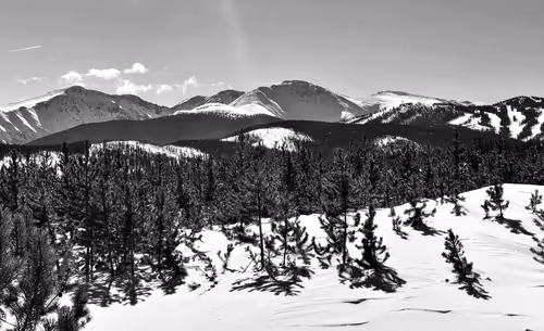 Item #60286361363657250857601775030637471218171117852543341295073303999757357678593 Media