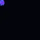 61588253749820085101849845706991679350797962209266566352251015782920315994113