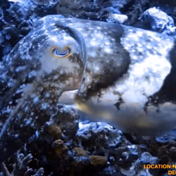 80965803268169370603932631570667161375508893671094224909166964078733923713025