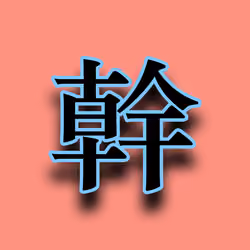 09 GAN