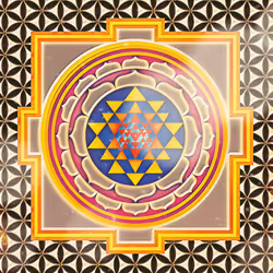 52803421592146788917747273912691954028356282473035812435731413917358899593217