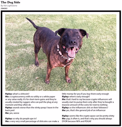 Item #626897290553149767847652691518108619534148298379556002124578612305605951493 Media